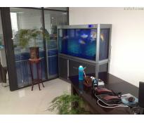 华盛广场独栋中等装修170㎡